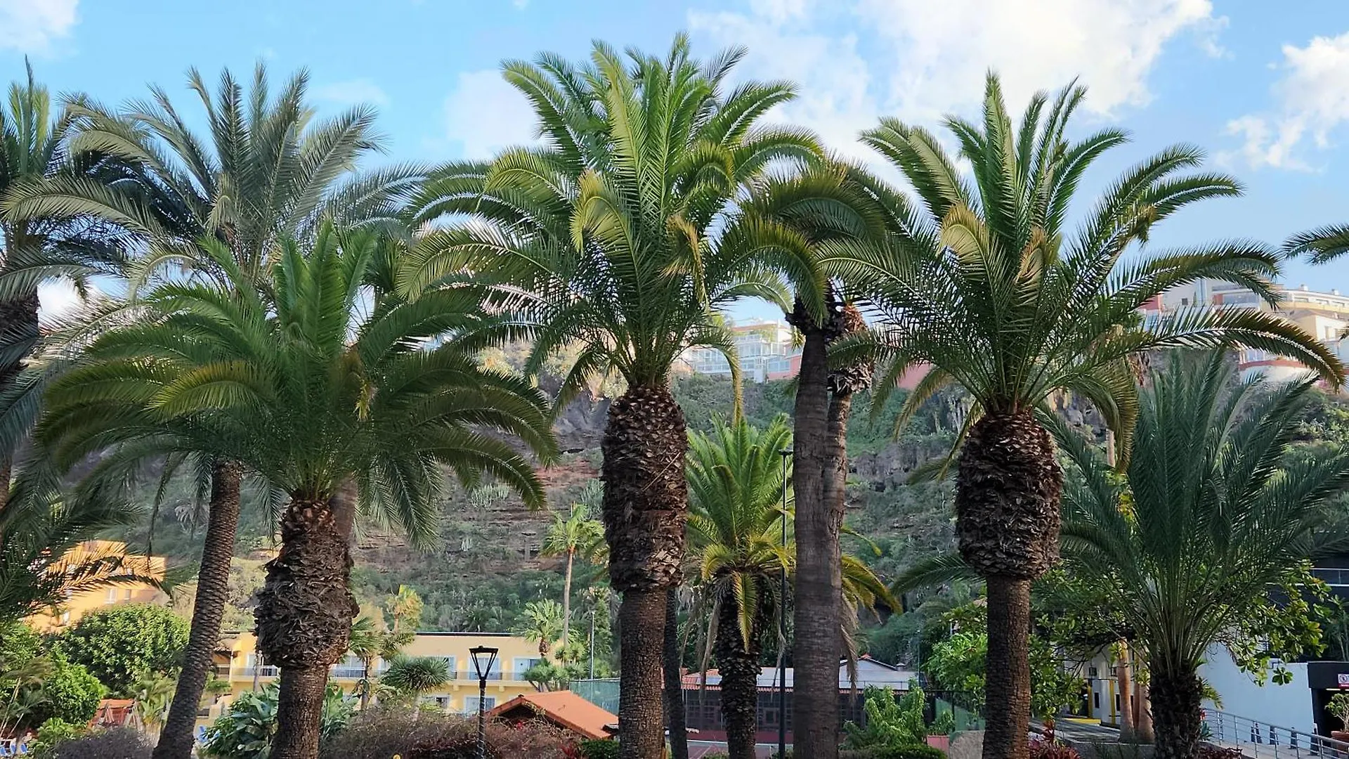 Ocean Dream Escape Apartment Puerto de la Cruz  Spain