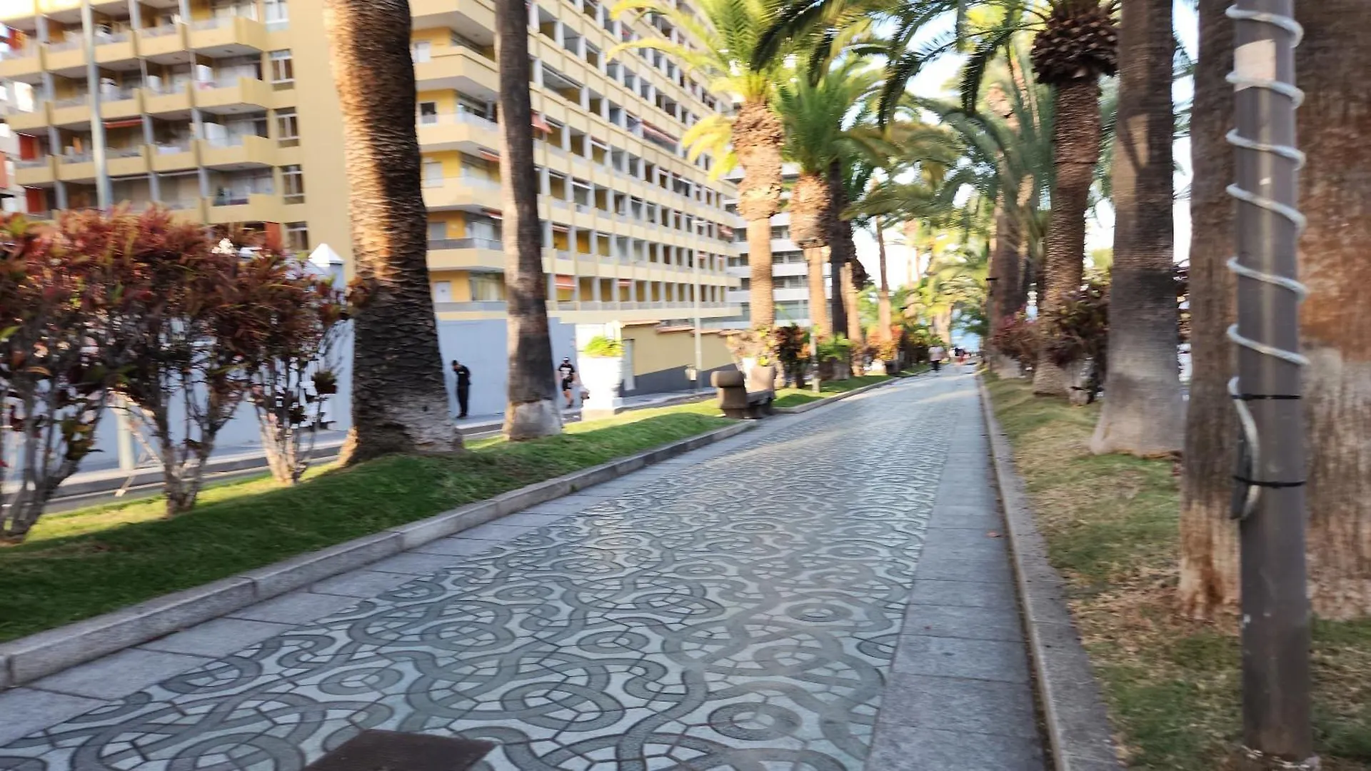 Ocean Dream Escape Apartment Puerto de la Cruz