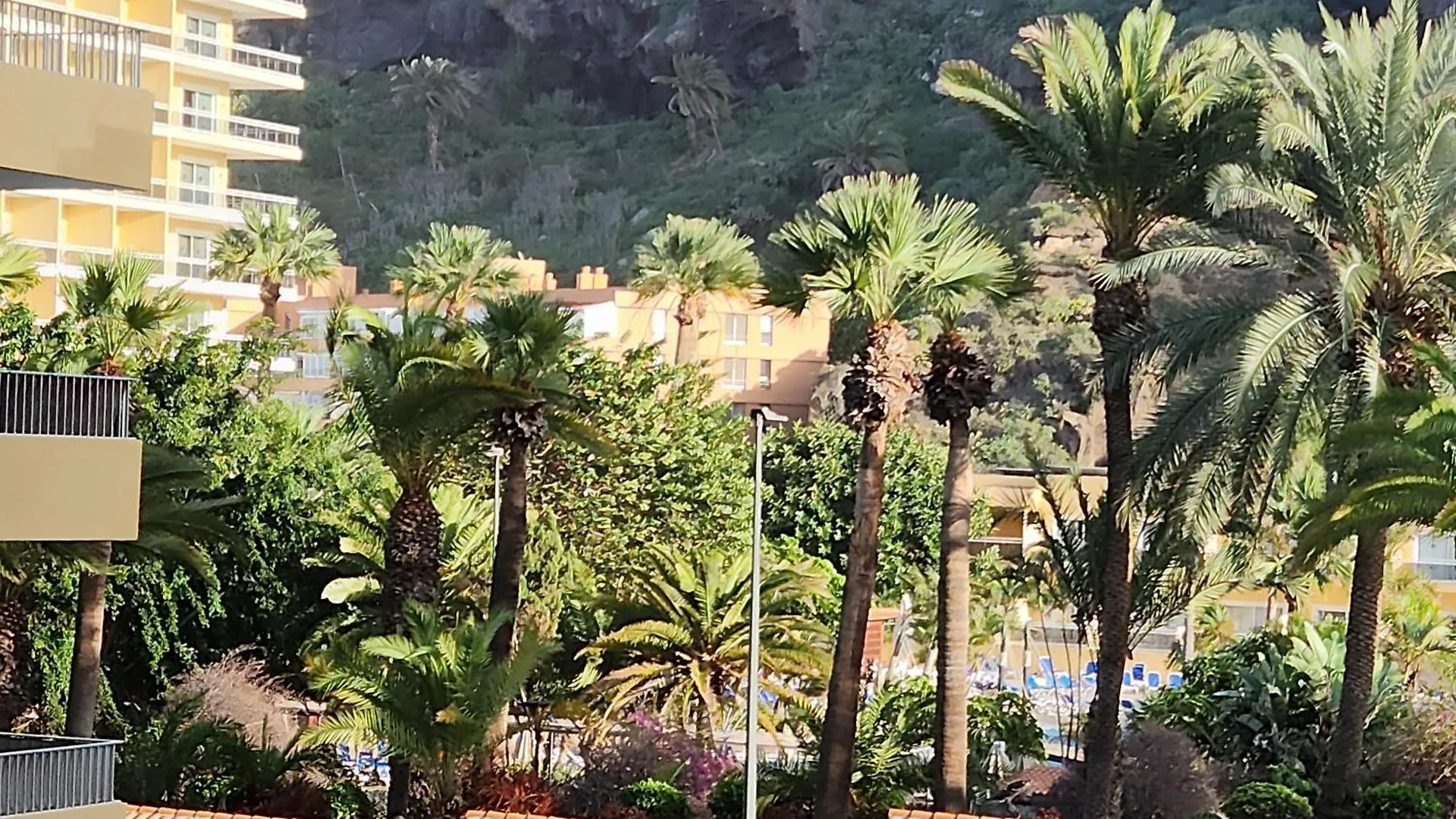 Ocean Dream Escape Apartment Puerto de la Cruz   Puerto de la Cruz (Tenerife)